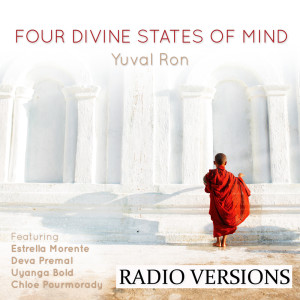 Listen to Vicarious Joy (Mudita) [Radio Version] (feat. Deva Premal) (Radio Version) song with lyrics from Yuval Ron