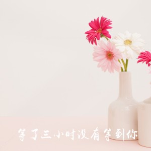 Listen to 等了三小时没有等到你 song with lyrics from 海平
