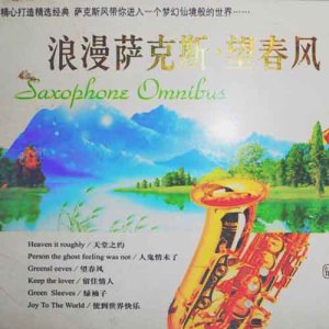 Listen to 回家 (萨克斯演奏) song with lyrics from 群星