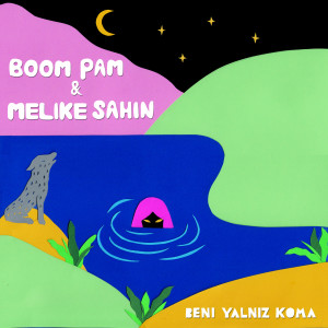 Album Benİ Yalniz Koma from Boom Pam