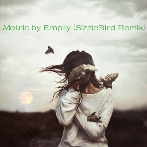 Empty(SizzleBird Remix) (Remix)