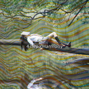 43 Spa Harmony