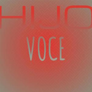 Album Hijo Voce from Various