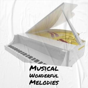 Various的专辑Musical Wonderful Melodies