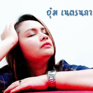 ดาวน์โหลดและฟังเพลง ทนดูไม่ได้ (Cover Version) พร้อมเนื้อเพลงจาก อุ๋ม เนตรนภา