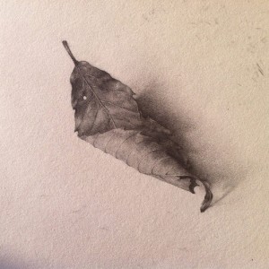 收聽동욱 에스的낙엽歌詞歌曲