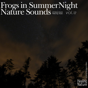 Listen to Night Sound from Forest 7 song with lyrics from 힐링 네이쳐 Nature Sound Band