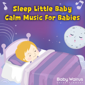 Sleep Little Baby | Calm Music For Babies