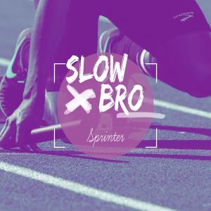 Album Sprinter - slowed + reverb oleh Slowbro
