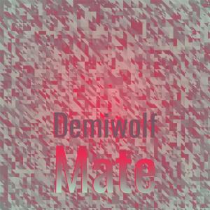 อัลบัม Demiwolf Mate ศิลปิน Various
