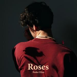 收聽Peder Elias的Roses歌詞歌曲