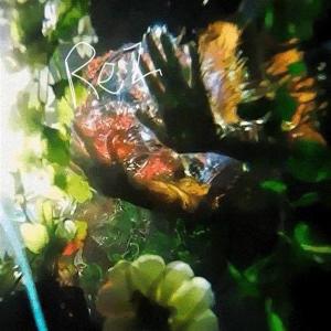 Dengarkan Down lagu dari REZ dengan lirik