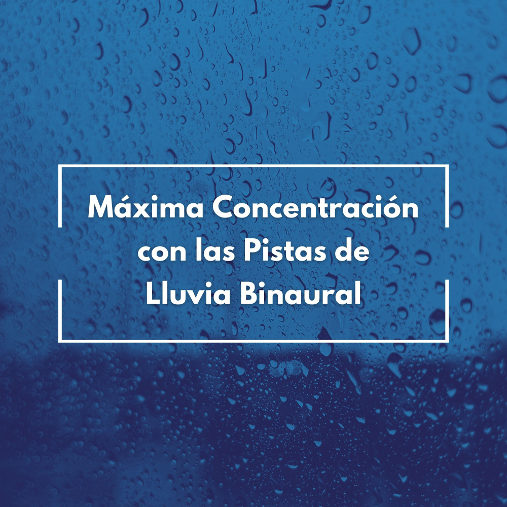 Sesión Lluviosa De Enfoque Máximo