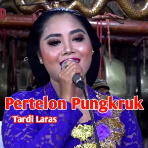 Erin Sabrina的專輯Pertelon Pungkruk