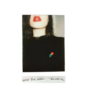 ดาวน์โหลดและฟังเพลง Wish You Well (Explicit) พร้อมเนื้อเพลงจาก Rowan Kerrick