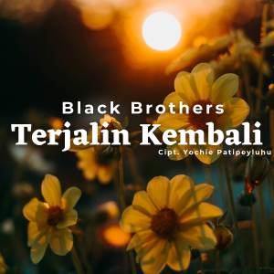 Album Terjalin Kembali from Black Brothers