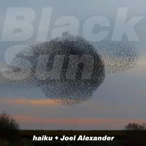 ดาวน์โหลดและฟังเพลง Black Sun พร้อมเนื้อเพลงจาก Haiku