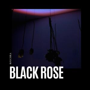 อัลบัม BLACK ROSE ศิลปิน Bouchra