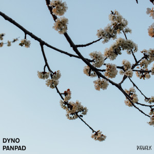 Dengarkan Panpad (Day) lagu dari DYNO dengan lirik