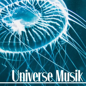 Listen to Play the Game song with lyrics from Fabrizio Pendesini