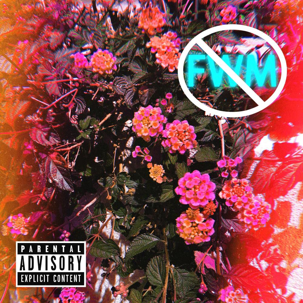 FWM (feat. Trophy Room & Tre Wright) (Explicit)