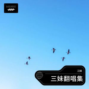 Album 三妹翻唱集 from 三妹