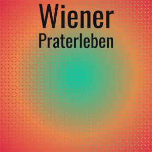 Listen to Wiener Praterleben song with lyrics from Jan Corduwener
