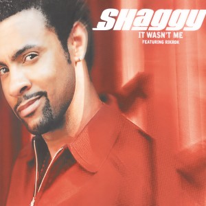 ดาวน์โหลดและฟังเพลง It Wasn't Me (Vocal 12" Mix) พร้อมเนื้อเพลงจาก Shaggy