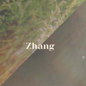 Album Zhang from Various
