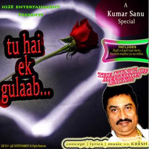 ดาวน์โหลดและฟังเพลง TU HAIN EK GULAB พร้อมเนื้อเพลงจาก Kumar Sanu