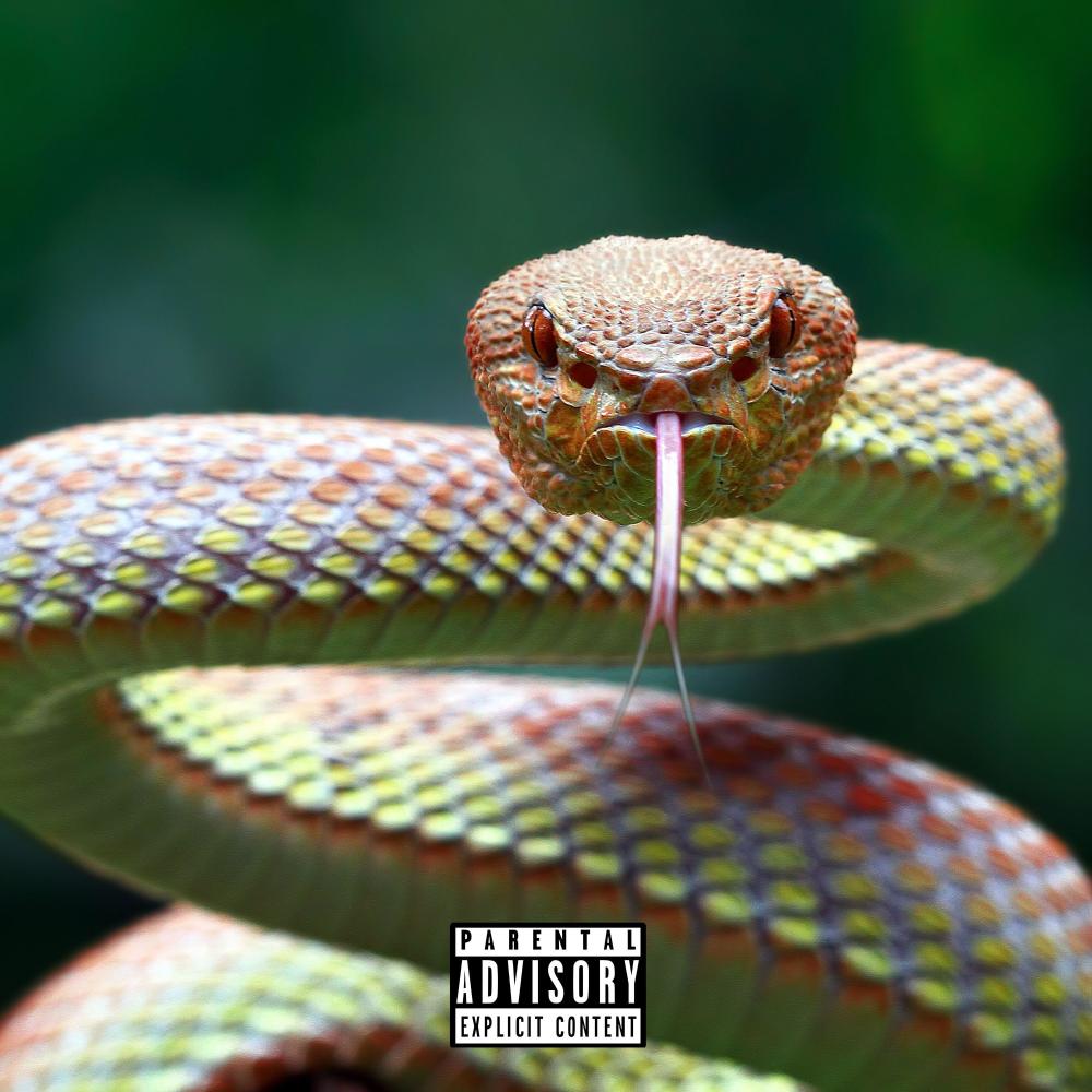 Hissin' (Explicit)