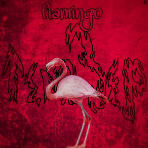 Listen to Flamingo song with lyrics from ТемаЗер