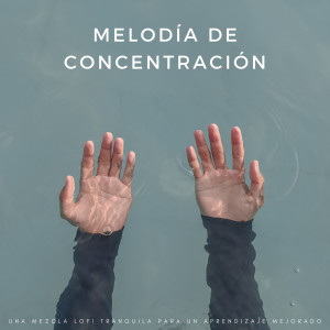 Album Melodía De Concentración: Una Mezcla Lofi Tranquila Para Un Aprendizaje Mejorado from Concentracion Examenes