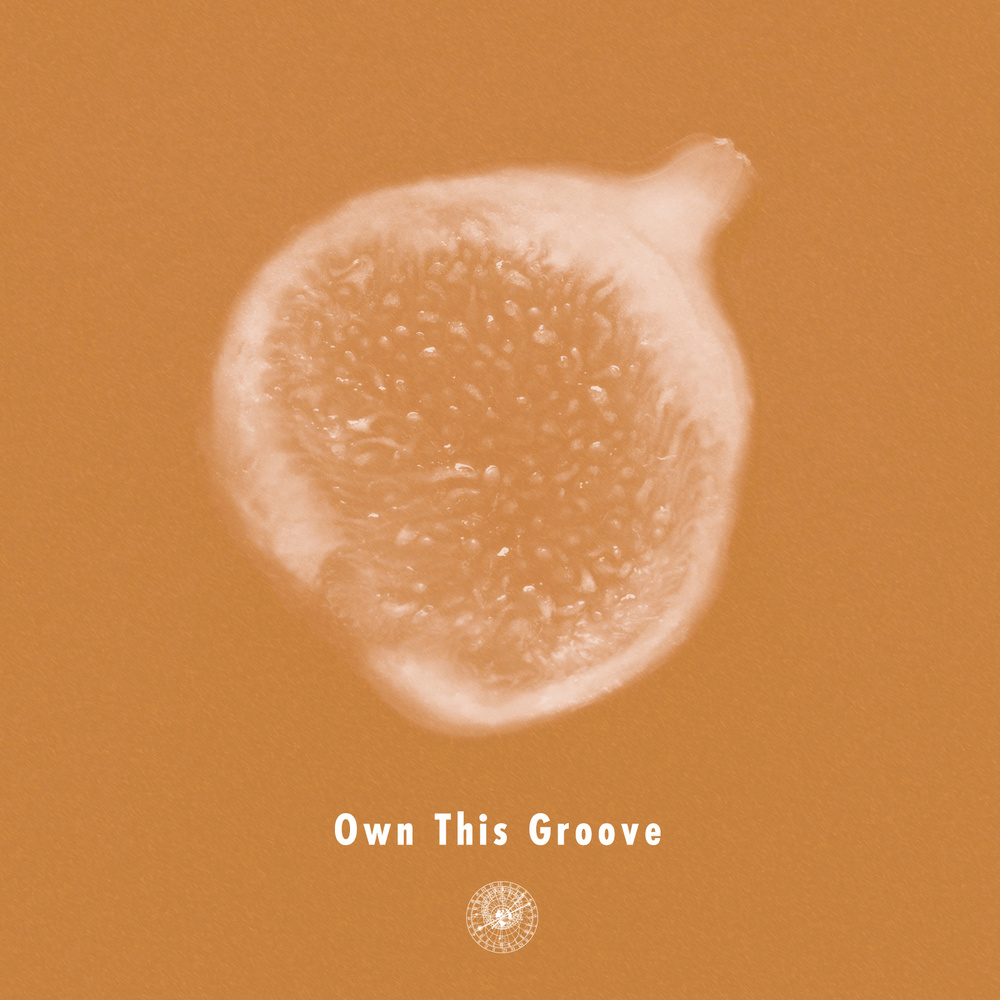 Own This Groove(feat. Liyv)