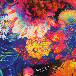 ดาวน์โหลดและฟังเพลง For Love พร้อมเนื้อเพลงจาก Sum Wave