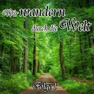 Listen to Hinaus ins Grüne song with lyrics from Ann & Andy