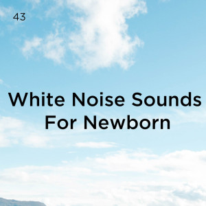 อัลบัม 43 White Noise Sounds For Newborn ศิลปิน White Noise
