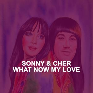 Sonny & Cher的專輯What Now My Love