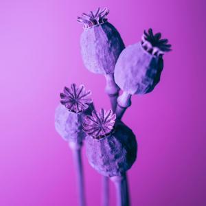 ดาวน์โหลดและฟังเพลง Love Me Now พร้อมเนื้อเพลงจาก Tidez