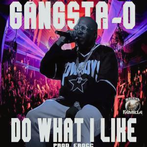 Gangsta-O的專輯What I Like (Explicit)