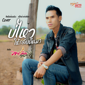 Listen to บ่ไหวให้กลับคืนมา song with lyrics from ลายพิณ ชินราช