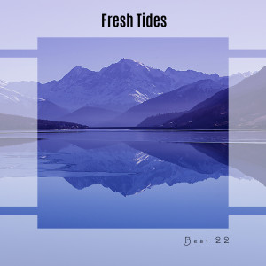 Various的专辑Fresh Tides Best 22