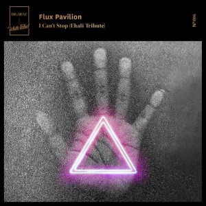 ดาวน์โหลดและฟังเพลง I Can't Stop (Ekali Tribute) พร้อมเนื้อเพลงจาก Flux Pavilion