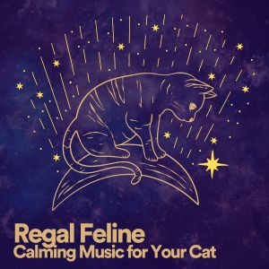 Listen to Regal Feline Calming Music for Your Cat, Pt. 34 song with lyrics from Cat Music