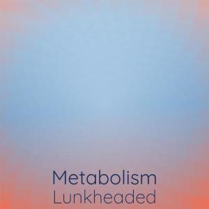 Album Metabolism Lunkheaded oleh Various