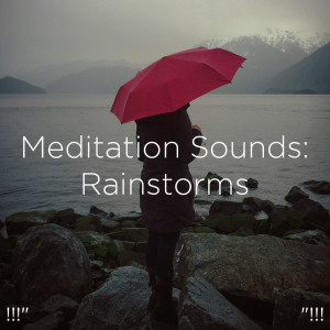 Dengarkan lagu Fall Asleep Rain nyanyian Rain Sounds dengan lirik