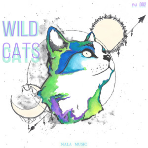 อัลบัม Wild Cats 002 ศิลปิน Various Artists