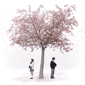 อัลบัม Owarito Hajimari / Lost Boy ศิลปิน Seamo
