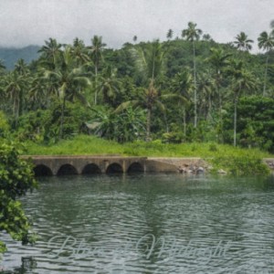 Listen to Blues at Midnight song with lyrics from Gene Simmons