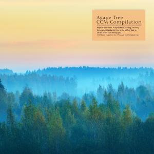 韩国群星的专辑CCM Piano Collection For A Tranquil Rest In Agape Tree
